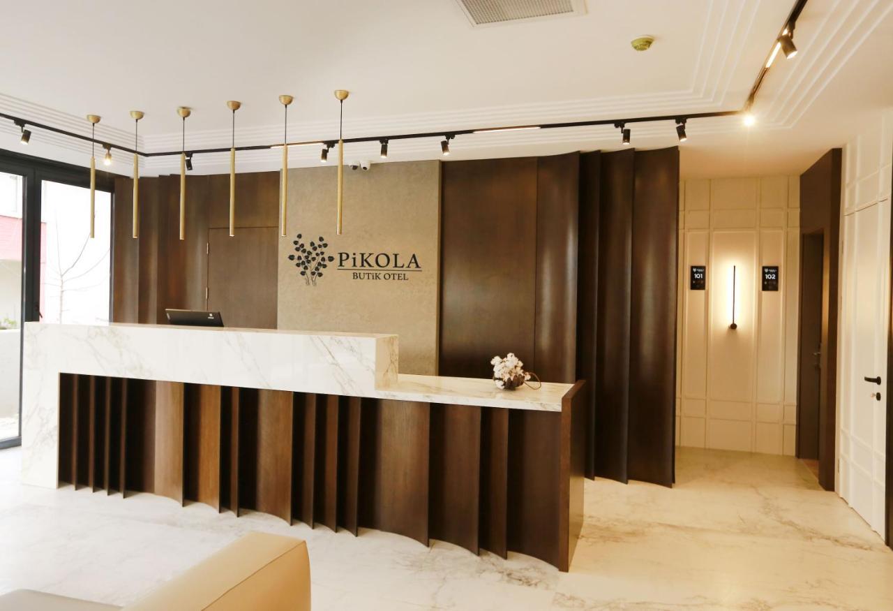 Pikola Butik Otel AltınAltınordu Exterior foto